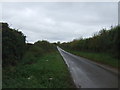Common Drove towards the B1440 in PE31 6BY