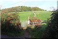 Gate to public footpath into field, Rhiwderin in Graig Community