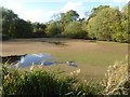 Mill pond in Blackmore Park in WR14 3LF