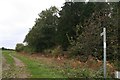 Path alongside Potterhanworth Wood in Potter Hanworth