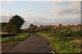 Nocton Fen Road passing the ponds south of the Witham at Bardney in LN3 5DN