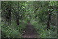 Bridleway, Hanger Wood in MK43 8QS