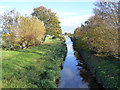 Longford River looking downstream in TW19 7LR