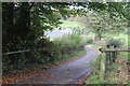 Lane to Llan-danglws Farm in NP11 6EQ