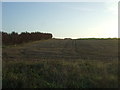 Stubble field off Redgate Hill in PE31 7JY