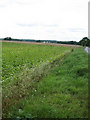 Looking down towards Westfield Farm in NR20 5RH