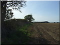 Stubble field and hedgerow in PE31 8FQ