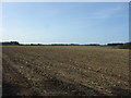 Stubble field near Burnham Norton in PE31 8FQ