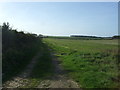 Farm track off the A149 near Burnham Norton in PE31 8DP