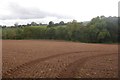 Cultivated ground, Ditton Priors in WV16 6UP