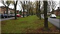 Trees in the centre of Coleman Road in LE5 4NT