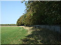 Byway beside perimeter wall, Holkham Park in NR23 1RU