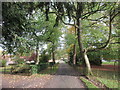 Roadway in Hackthorn Park in Hackthorn