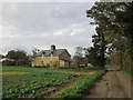 Track and estate cottages, Hackthorn in Hackthorn