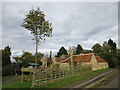 Objects at Vine Cottage East in Hackthorn