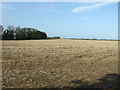 Stubble field off Ringstead Road in PE36 5NZ