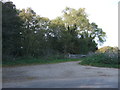 Woodland and track off Ringstead Road in PE31 7JA