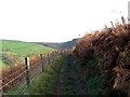 Llwybr Ceffyl Esgair Wen / Esgair Wen Bridleway in LD4 4ER