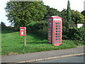 Elizabeth II postbox and telephone box on Lynn Road, Roydon in PE32 1AT