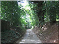 A little further down Watery Lane between high banks in Guist