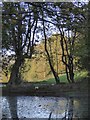 Trees by a pond near Wotton church in RH4 3LP