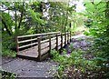 Footbridge in Spennells Valley Nature Reserve, Kidderminster in DY10 4EF