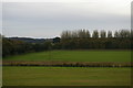 Fields south of Iken Hall in IP12 2HE