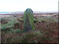 Boundary stone (#4) on Blackstone Edge Moor in OL15 0LG