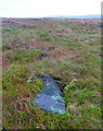 Recumbent boundary stone (#5) on Blackstone Edge Moor in OL15 0LG