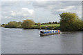 River Trent, Fiskerton in NG25 0UB