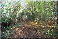 Tree-lined footpath towards Banbury in OX16 9NN