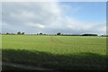 Fields east of the bridleway in YO19 6HR