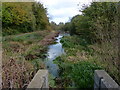 Grantham Canal next to the A1 slip road in NG31 7JS