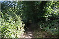 Footpath, Little Tinker's Wood in HP13 5NJ
