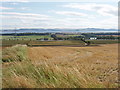 Harvested barley field, view from Fifebanks to the Tay in DD2 5LJ