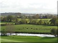 River Avon and the Evesham Golf Course (2) in WR10 3LA