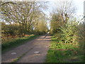 Bridleway near Anslow Park Woodlands in DE13 9ST