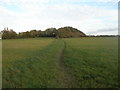Footpath towards Bungalow Farm and Outwoods in DE13 0SN