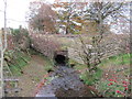 The Gateside Burn passing beneath the West Coast Main Line in DG10 9NX