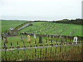 Kirkmaiden cemetery from the monument in the churchyard in DG9 9QW