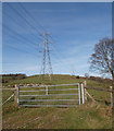 Electricity transmission towers, Gelli-wion in CF37 1EX