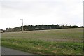 Keeper's Covert by the B1191 near Ashby de la Launde in North Kesteven District