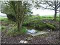 Sink and issue in a field next to Crapstone House in PL20 7UY