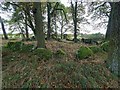 Druid Temple Chambered Cairn and Stone Circle in IV2 6AR