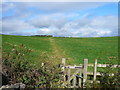 Footpath leading to Low Moor Wood in DE45 1LW