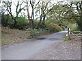 Cattle grid on the edge of moorland between Horrabridge and Walkhampton in PL20 6JS