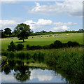 Canal and pasture east of Endon in Staffordshire in ST9 9DS