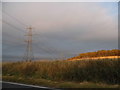 Pylons by Springwell Road, Springwell in CB10 1NJ