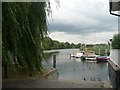 Shepperton: the Thames in TW17 9LH