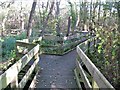 Barton Broad Boardwalk in NR12 8BL